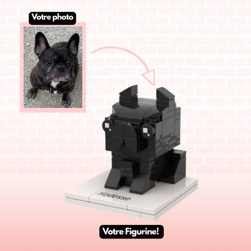Figurines personnalisées style LEGO – Animaux 🐶 - Mon Lego